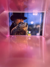 Load image into Gallery viewer, Rainmaker and Phil Telescope Keychain