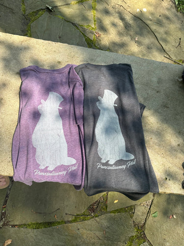 Punxsutawney Phil Silhouette T-Shirt
