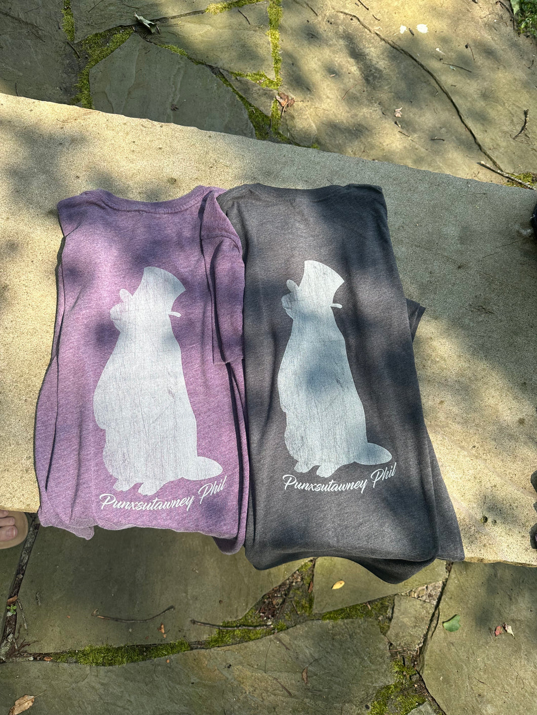 Punxsutawney Phil Silhouette T-Shirt