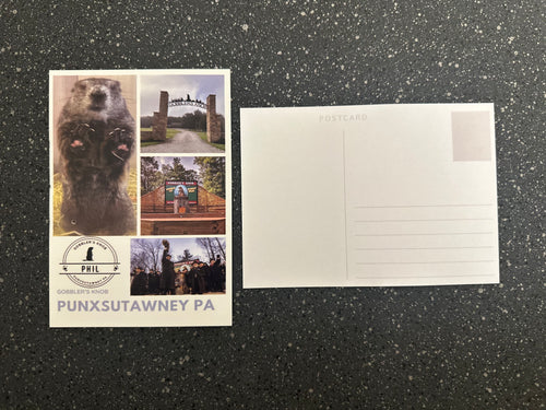 A Piece of Gobbler’s Knob Postcard