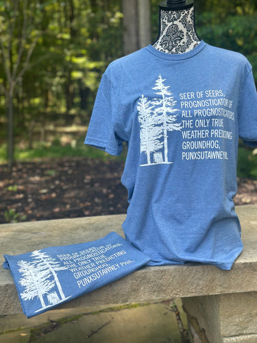 Heather Indigo Seer of Seers T-Shirt