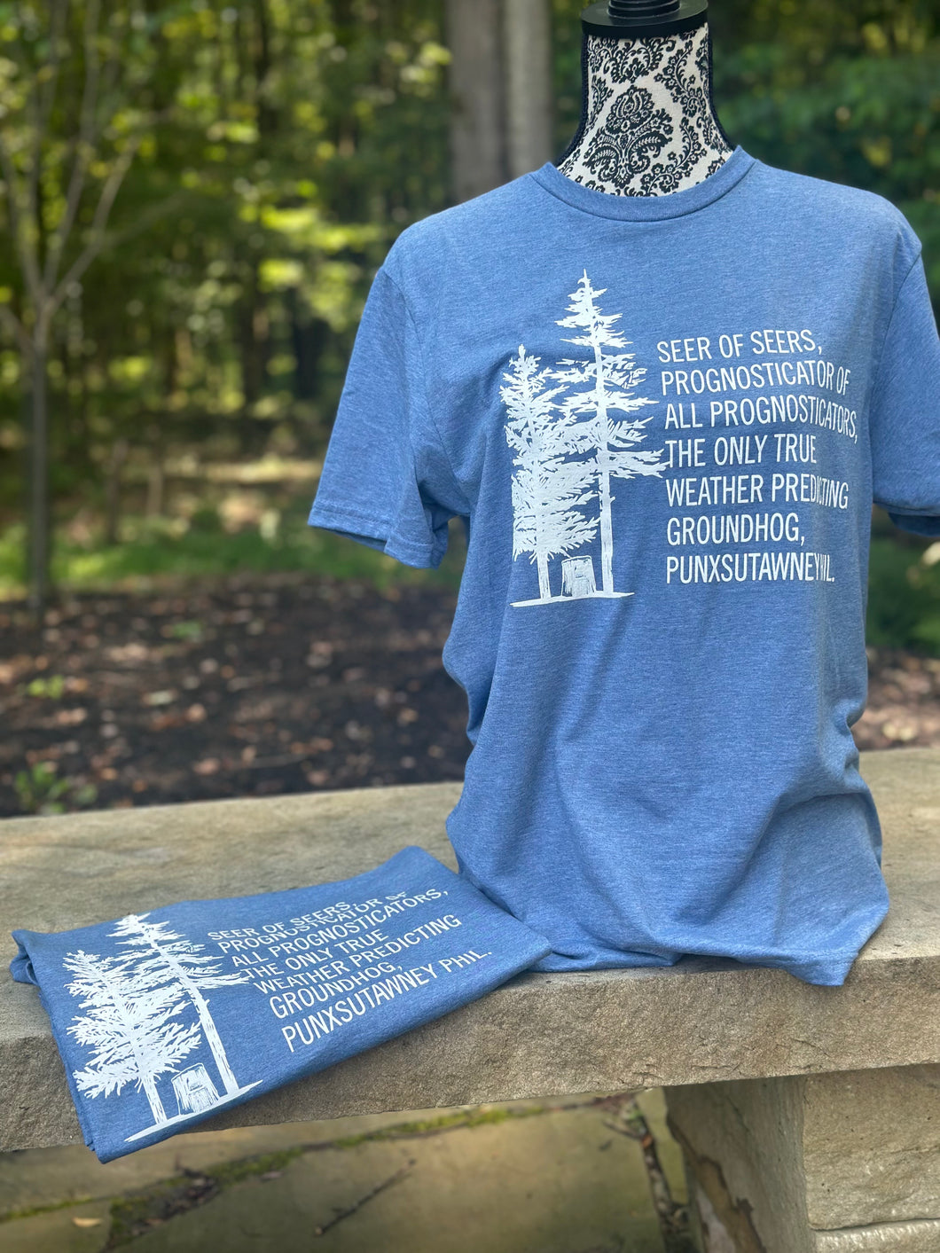 Heather Indigo Seer of Seers T-Shirt