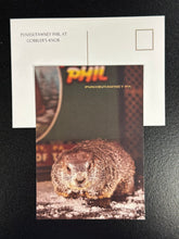 Load image into Gallery viewer, Punxsutawney Phil at Gobbler&#39;s Knob- Postcard