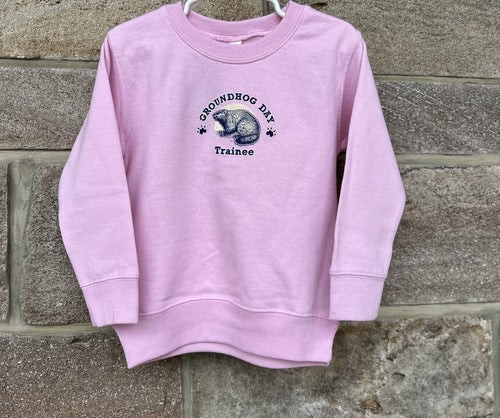 Toddler Pink Trainee Sweatshirt
