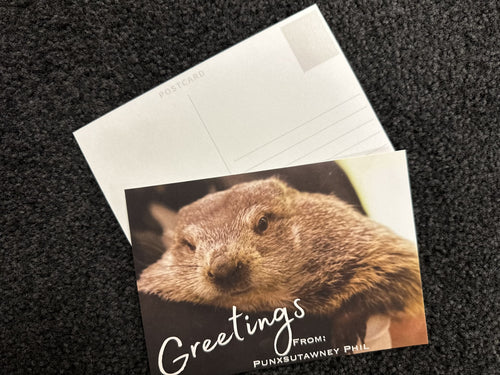 Greetings Postcard