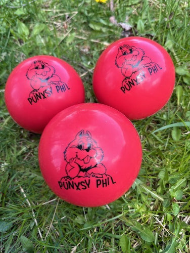 Punxsy Phil Red Vinyl Play Ball