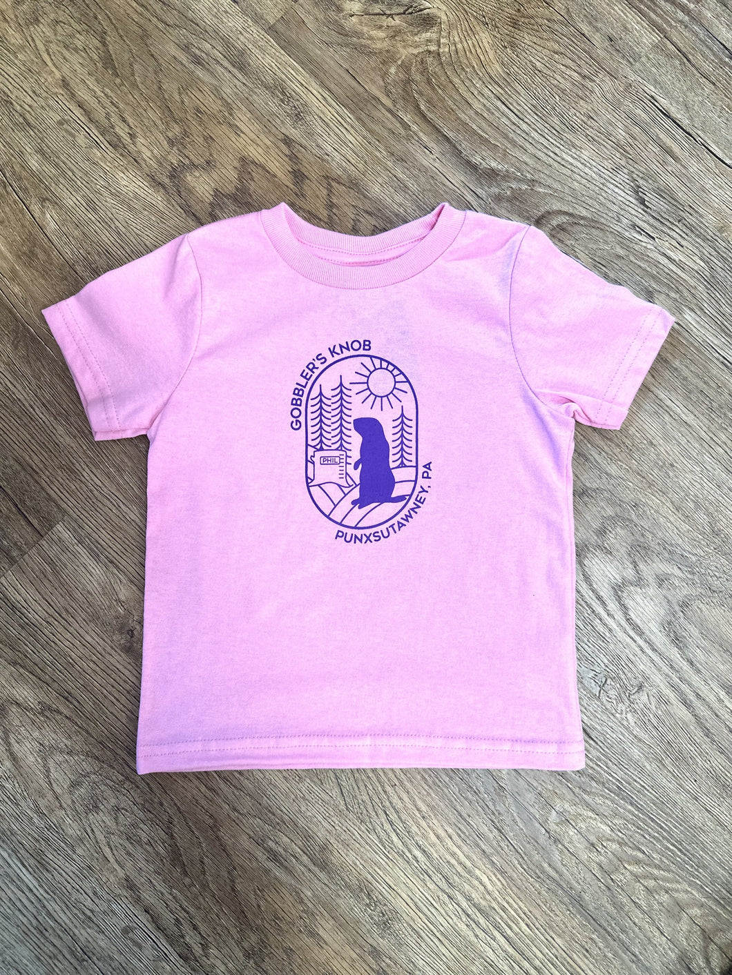 Toddler Short Sleeve Candy Pink Bubble Shirt