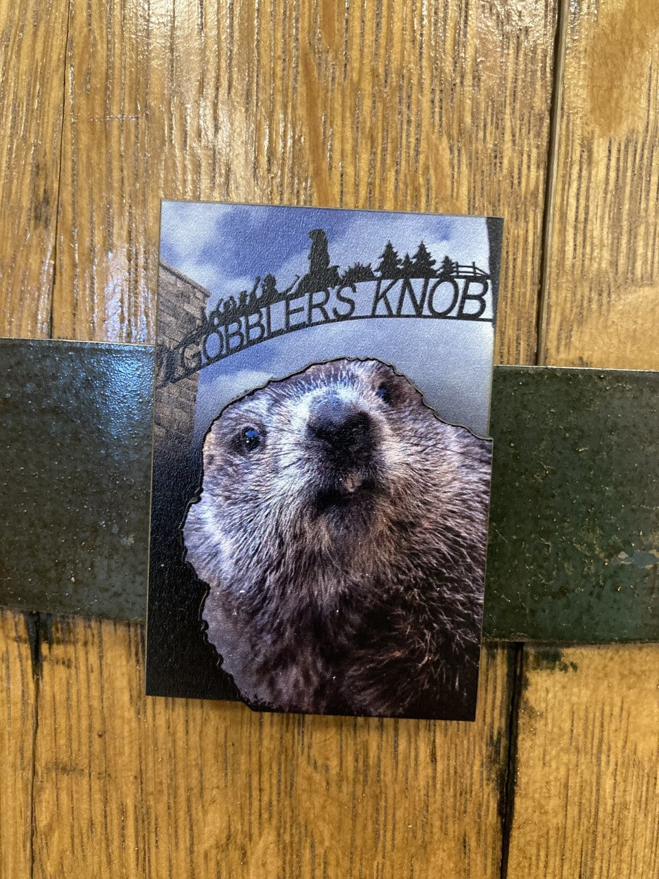 Phil's Welcome to Gobbler's Knob Magnet – Punxsutawney Groundhog Club