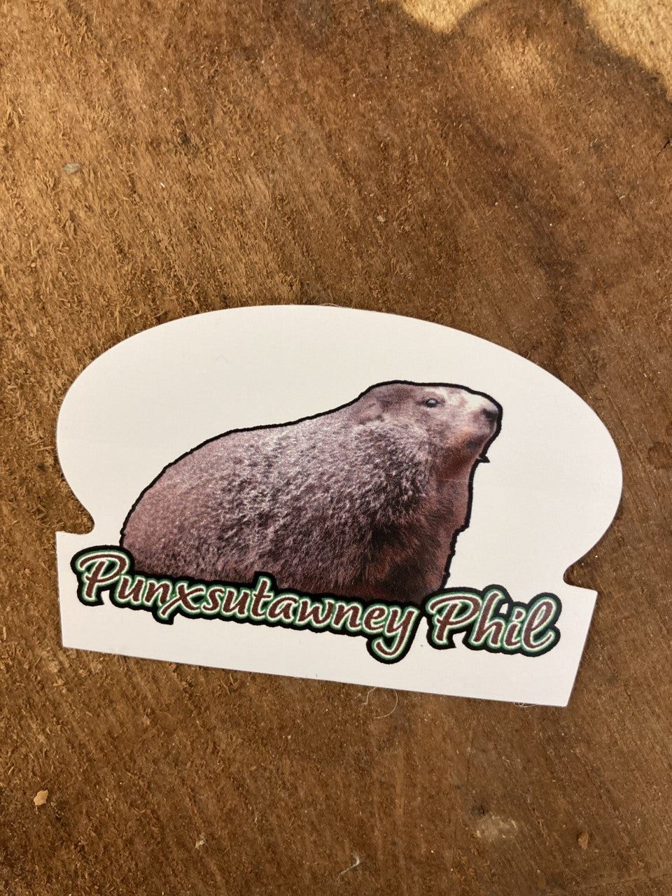 Punxsutawney Phil Vinyl Sticker – Punxsutawney Groundhog Club