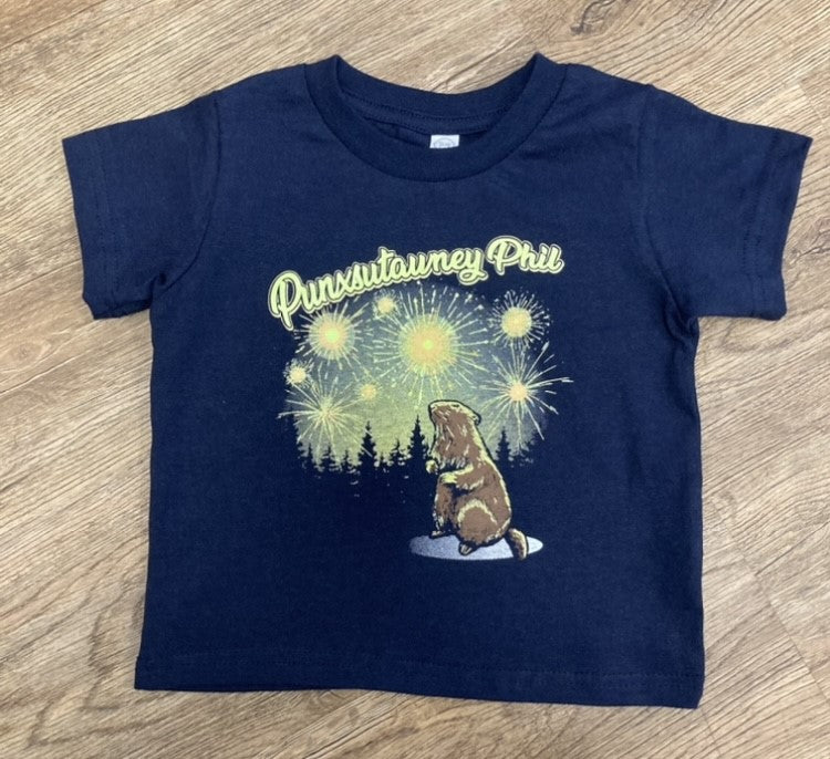 Navy Toddler Fireworks Glow in The Dark T shirt